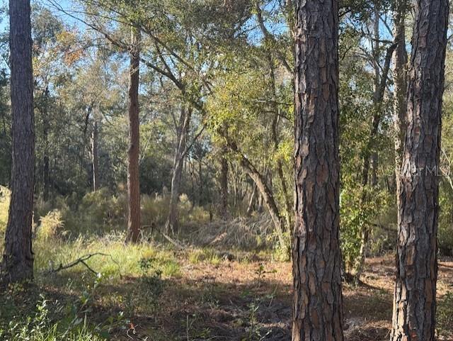 RIDGE MANOR ESTATE - Land