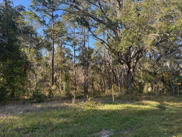 RIDGE MANOR ESTATE - Land