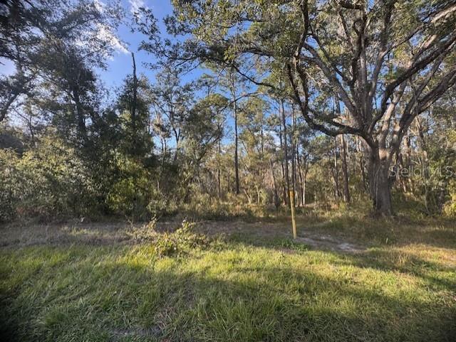 RIDGE MANOR ESTATE - Land