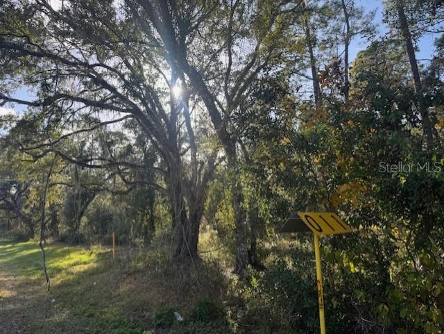 RIDGE MANOR ESTATE - Land