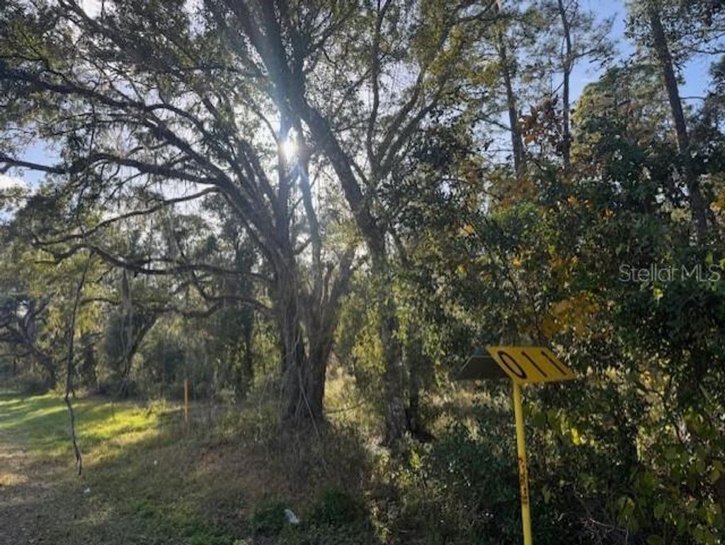 Photo of 6355 Treiman Boulevard, Webster, FL 33597 (MLS # G5106151)