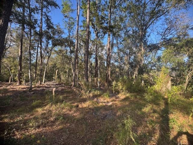 RIDGE MANOR ESTATE - Land