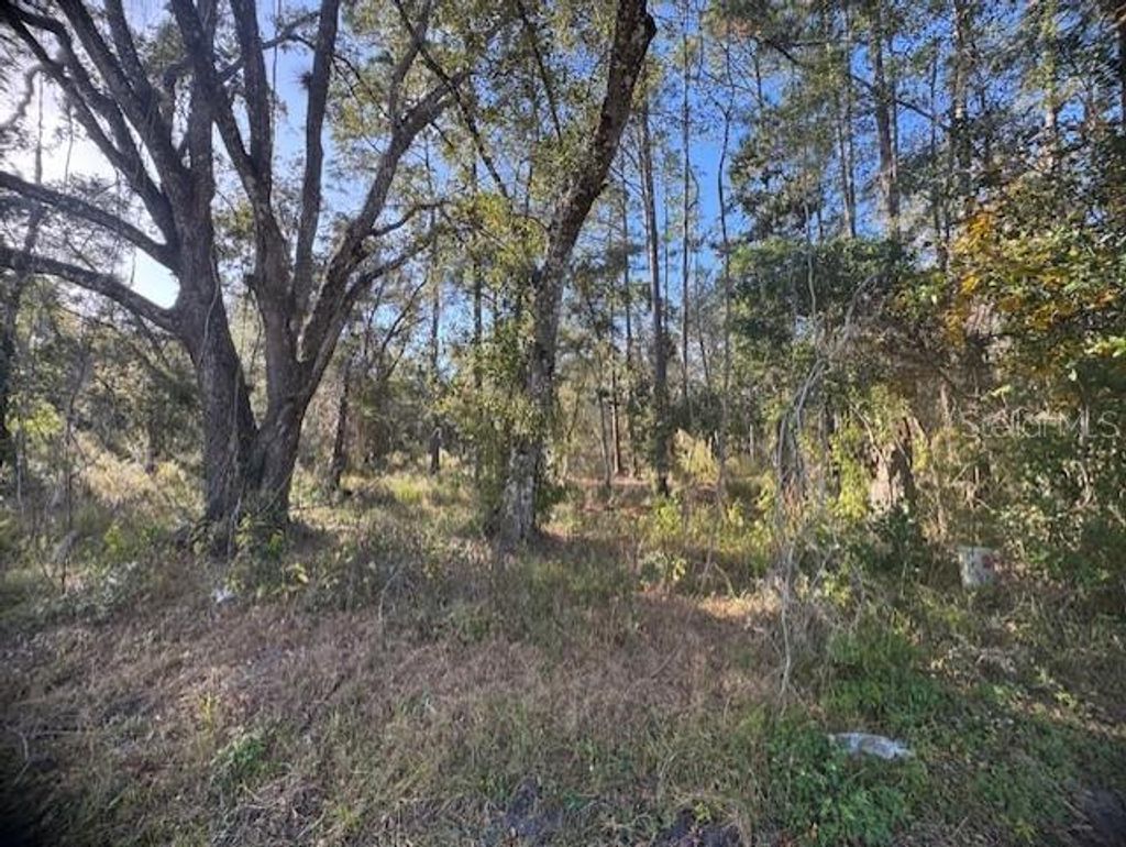 Photo of 6355 Treiman Boulevard, Webster, FL 33597 (MLS # G5106151)