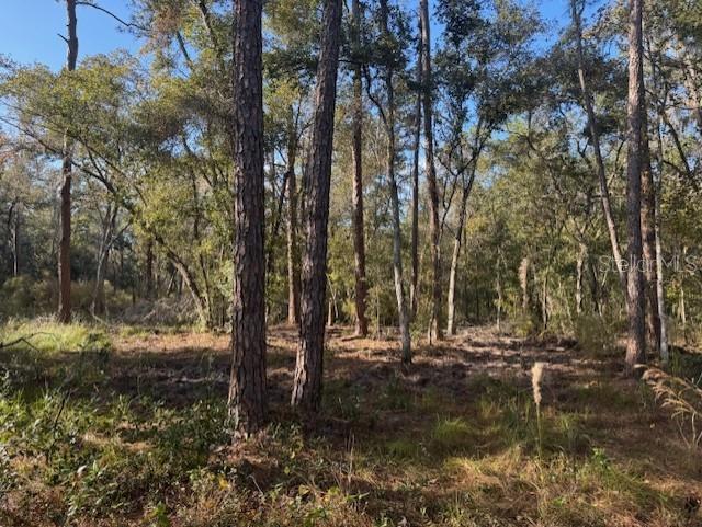 RIDGE MANOR ESTATE - Land