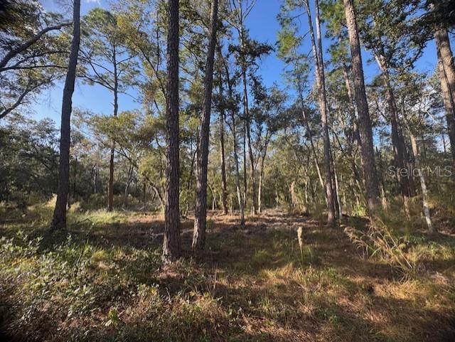 RIDGE MANOR ESTATE - Land