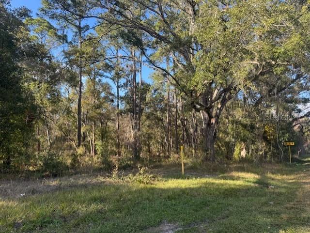 RIDGE MANOR ESTATE - Land