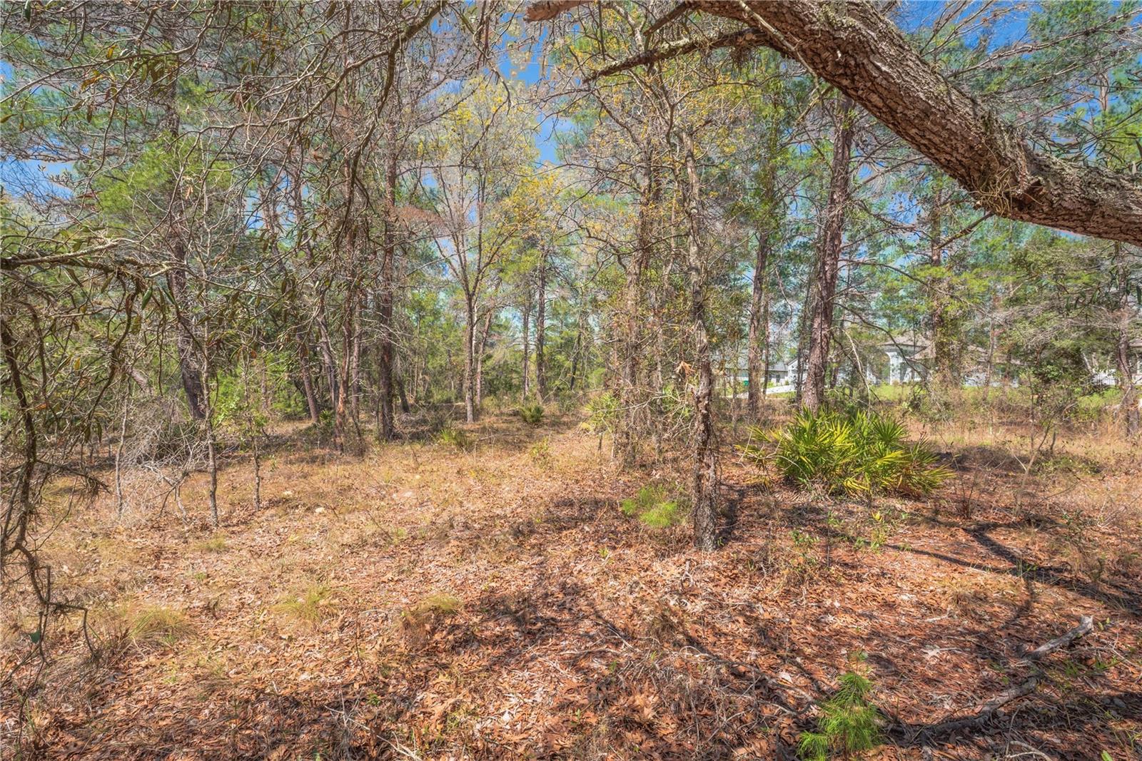 SUGARMILL WOODS OAK VILLAGE - Land