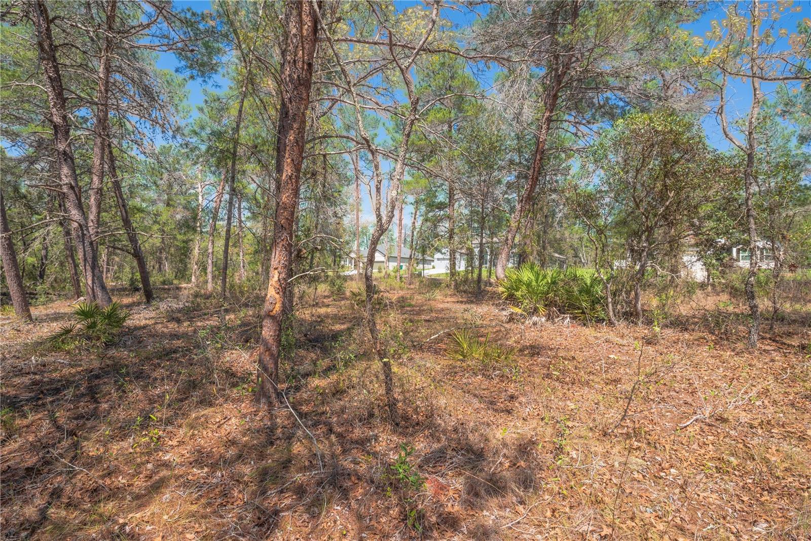 SUGARMILL WOODS OAK VILLAGE - Land