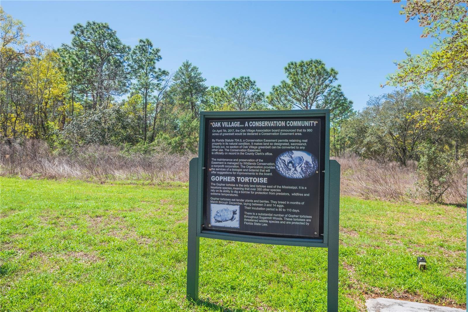 SUGARMILL WOODS OAK VILLAGE - Land