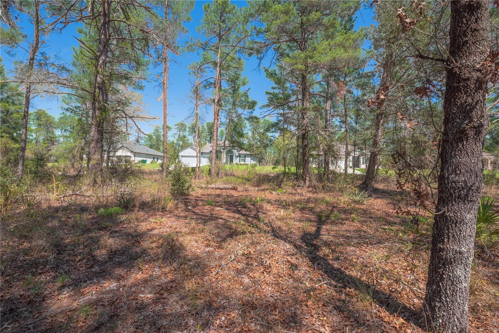 SUGARMILL WOODS OAK VILLAGE - Land