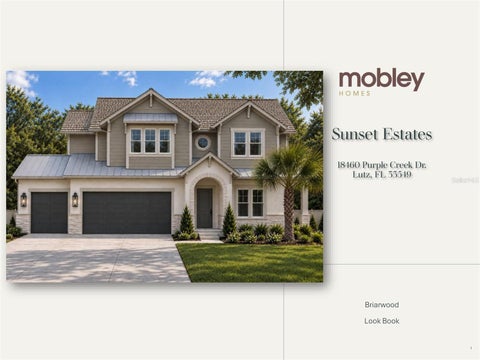 Photo of 18460 Purple Creek Lane, Lutz, FL 33549 (MLS # TB8535217)