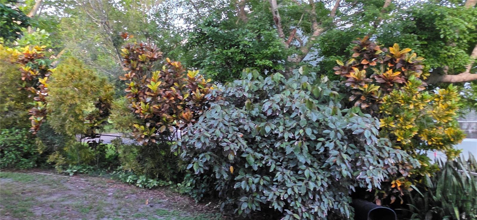 RIVER OAK ACRES - Residential