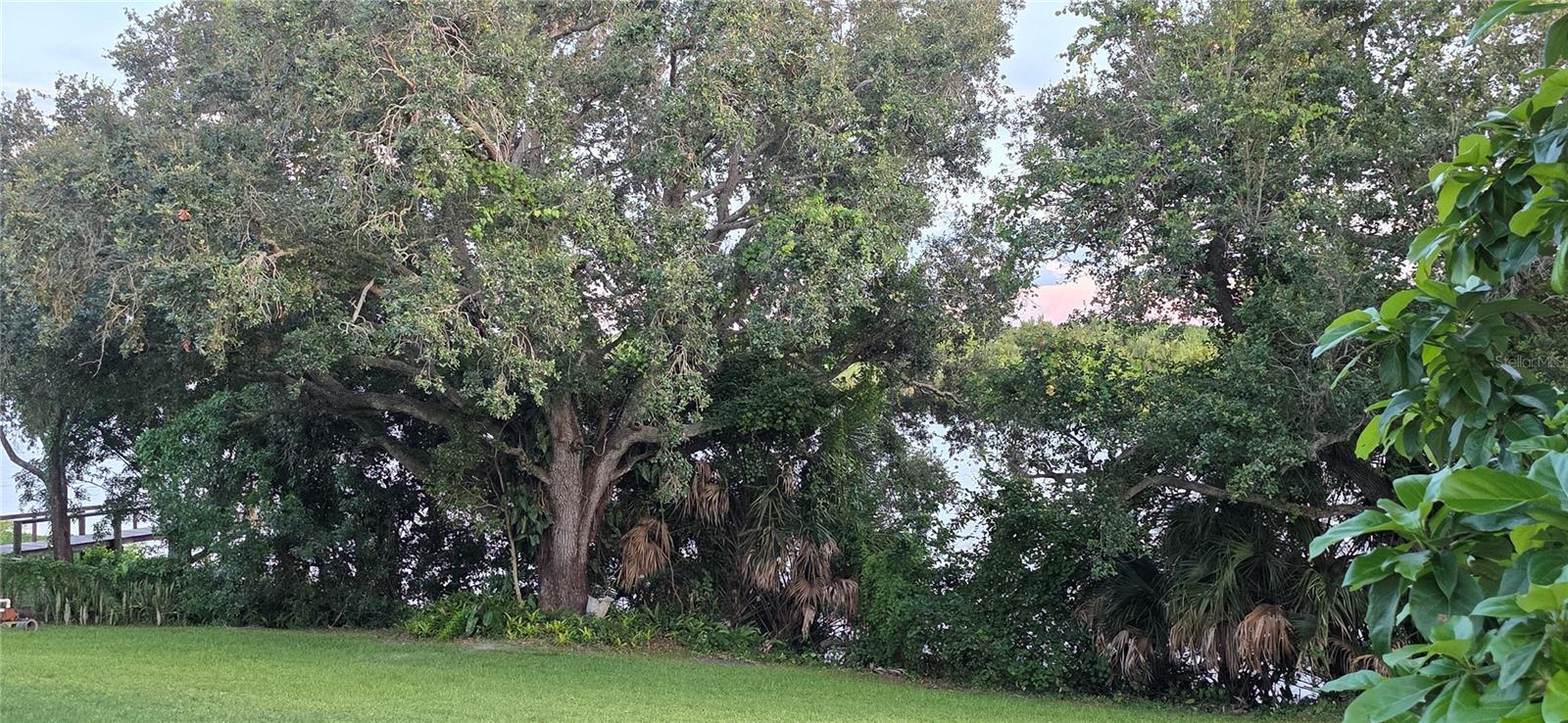 RIVER OAK ACRES - Residential