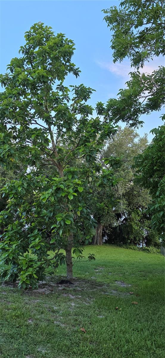 RIVER OAK ACRES - Residential