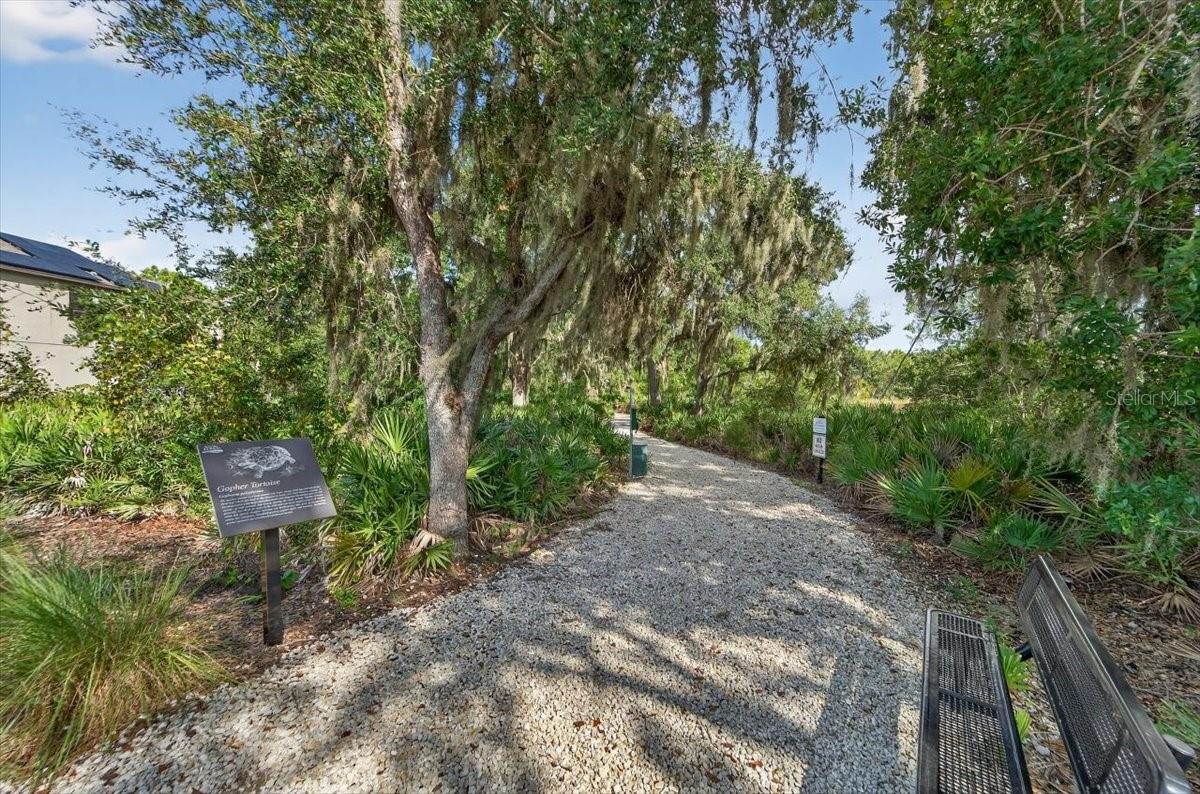 TRIPLE CREEK PH 2 VILLAGE F - Residential