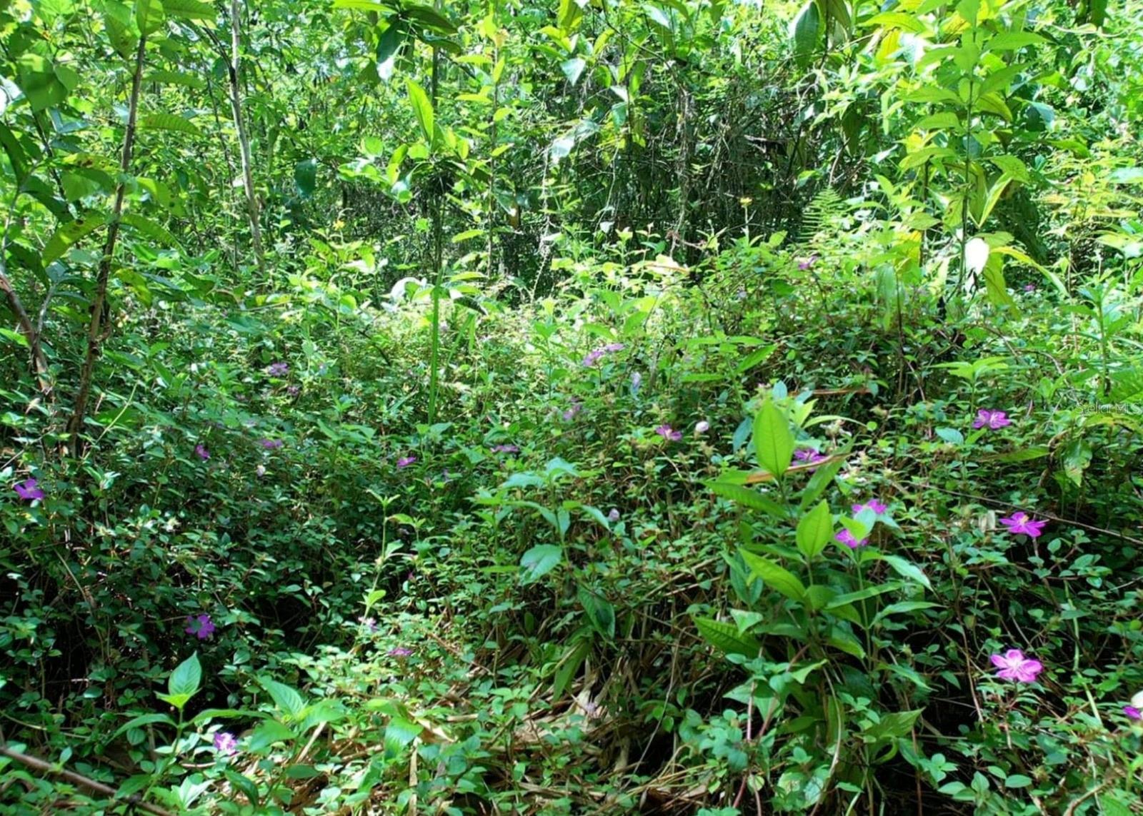 14, CAMINO FRANK ORTIZ KM 12.3