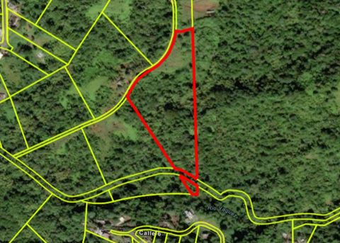 14, CAMINO FRANK ORTIZ KM 12.3 MAYAGUEZ  00680