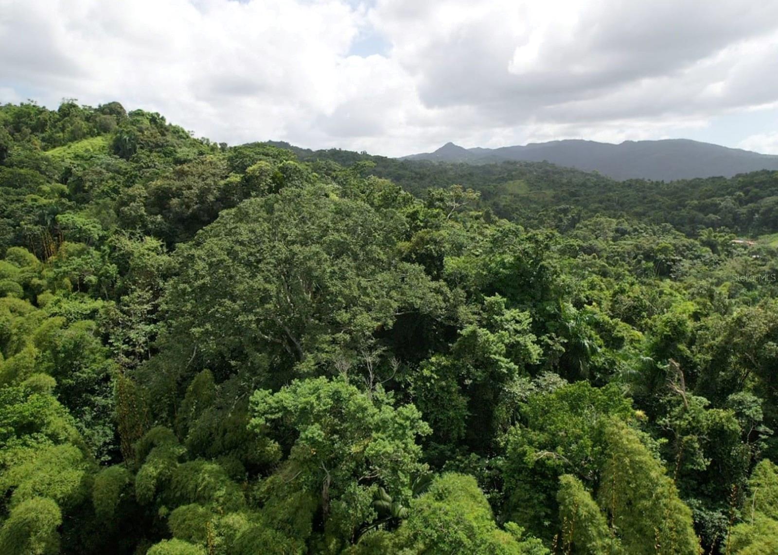 14, CAMINO FRANK ORTIZ KM 12.3