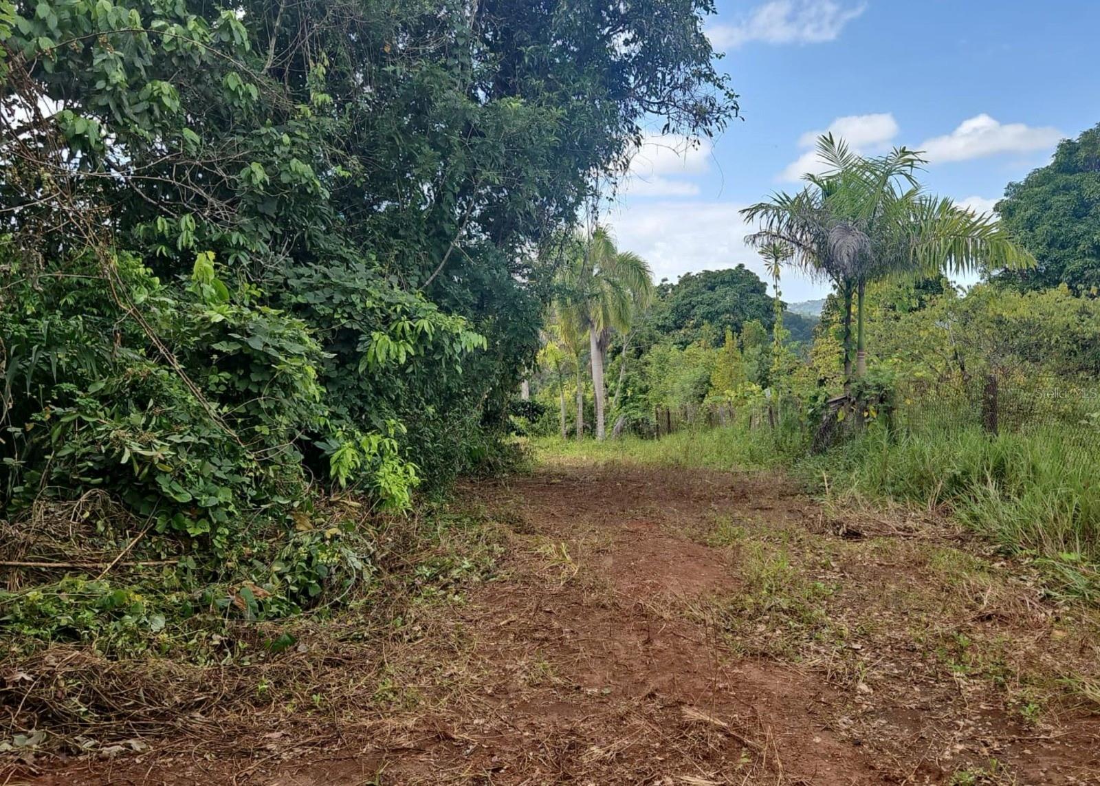 14, CAMINO FRANK ORTIZ KM 12.3