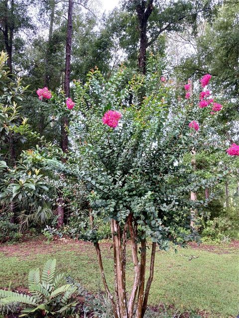 A home in DUNNELLON