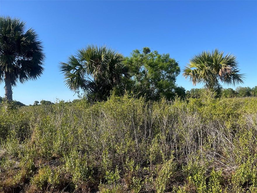 Build or bring your dream home and barn on this beautiful high and dry 1.25 acre Located just off the main paved road, yet still private. This street has power poles, making electricity easily accessible. Okeechobee County offers a wealth of activities to enjoy. Visit the Kissimmee River Preserve State Park, located west of this area, along with the Kissimmee River itself. The river, flowing into Lake Okeechobee, is renowned for excellent fishing. Whether your interests lie in fishing, hunting, mudding, agriculture, or simply relishing privacy, you'll find it all here. Buying Land in Florida is a solid investment for your future, build your dream home, vacation home, rental investment or let the land build value as a great long-term investment to resell for a future profit.