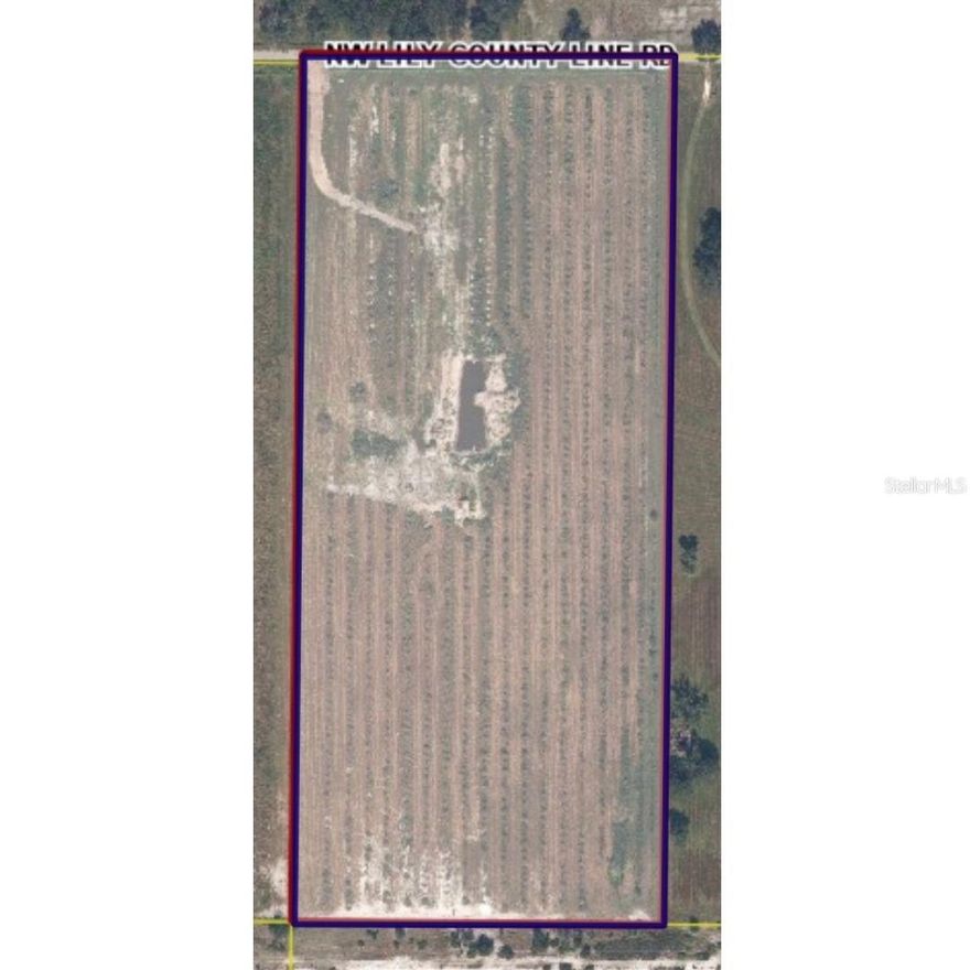 Calling all homesteaders and small-farm dreamers! This 17-acre pasture property is fully fenced and cross-fenced, making it ready for livestock, rotational grazing, gardens, or orchards. A diesel-run well, services the property, a lasting feature from its history as a former orange grove. With wide open space, rich agricultural roots, fertile ground, and room to expand. This property is perfectly suited for homesteaders, farmers, or anyone looking to bring their vision to life. Wether it be life off grid, raising animals, growing your own food, or building the homestead your've always imagined. Peaceful, productive, and full of potential. This land is meant to be lived on and loved.