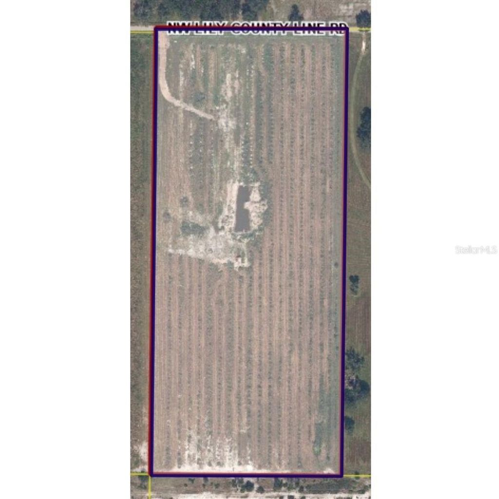 Photo of 8153 Lily Co Rd, Arcadia, FL 34266 (MLS # C7520857)