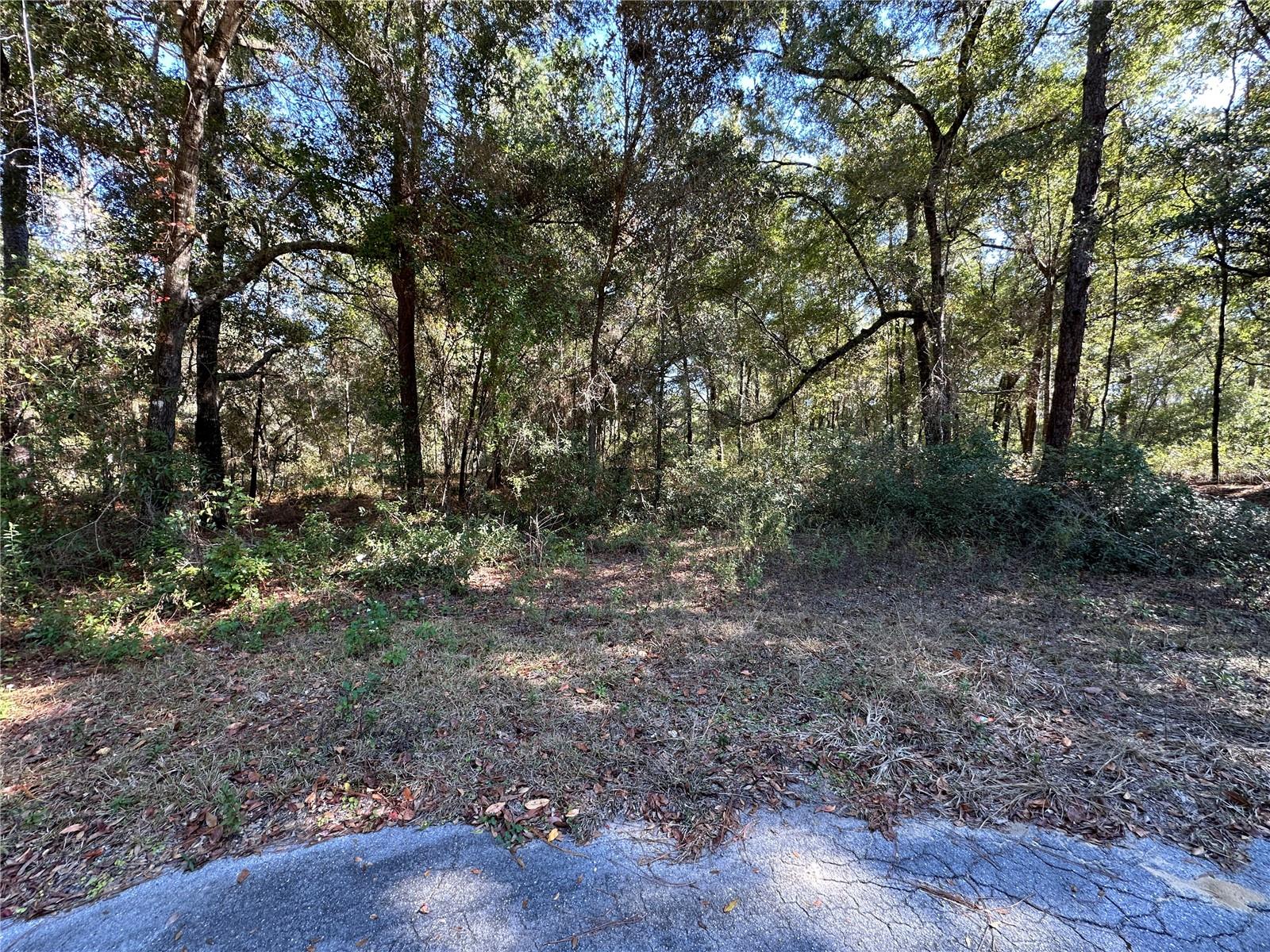 WILLISTON HIGHLANDS GOLF & C CLUB ESTATES - Land