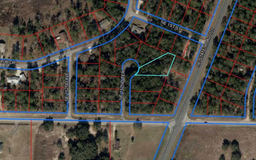 WILLISTON HIGHLANDS GOLF & COUNTRY CLUB OVERSIZE BUILDING LOT ON A CUL-DE-SAC! Spacious .44 acre vacant lot located in the desirable Williston Highlands Golf and Country Club community — larger than most in the area and offering extra room for your dream home or future investment. This property sits at the end of a quiet street on a cul-de-sac, providing added privacy and minimal traffic. Enjoy the peaceful surroundings of a well-established growing neighborhood just minutes from downtown Williston, with easy access to Gainesville and Ocala. A perfect opportunity to own a larger-than-average lot in a growing area known for its charm and country living.