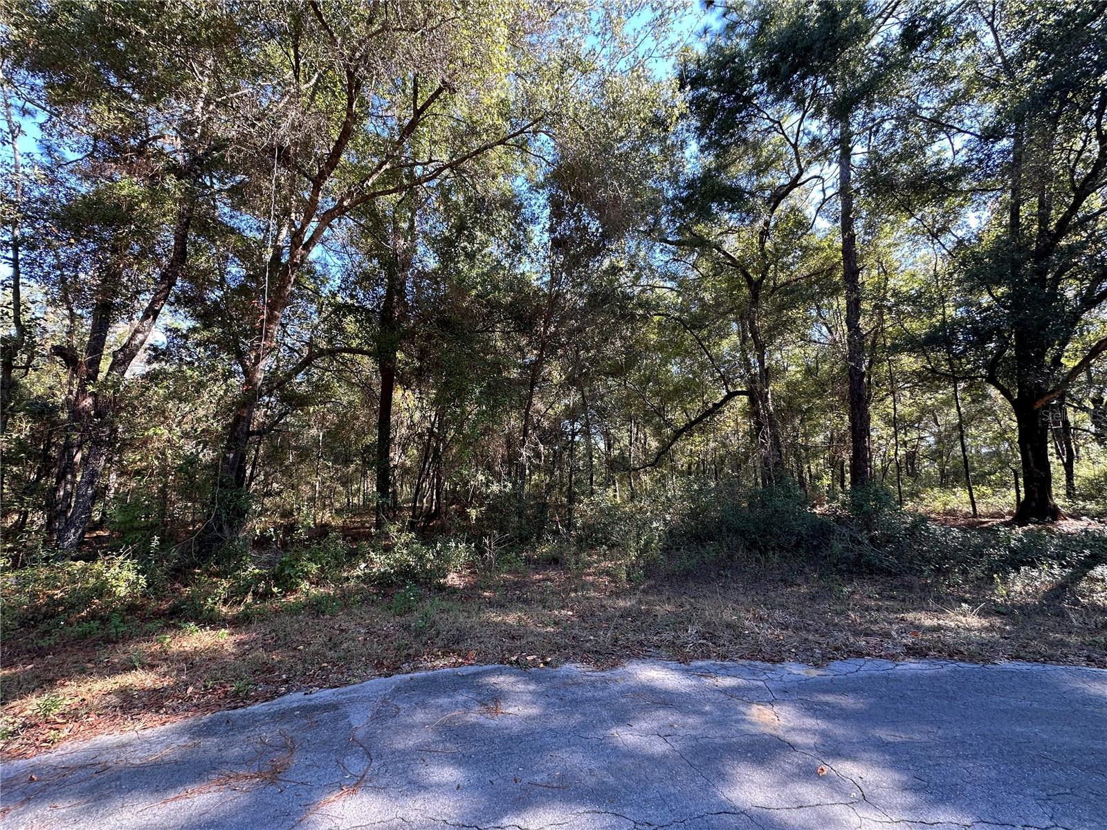 WILLISTON HIGHLANDS GOLF & C CLUB ESTATES - Land