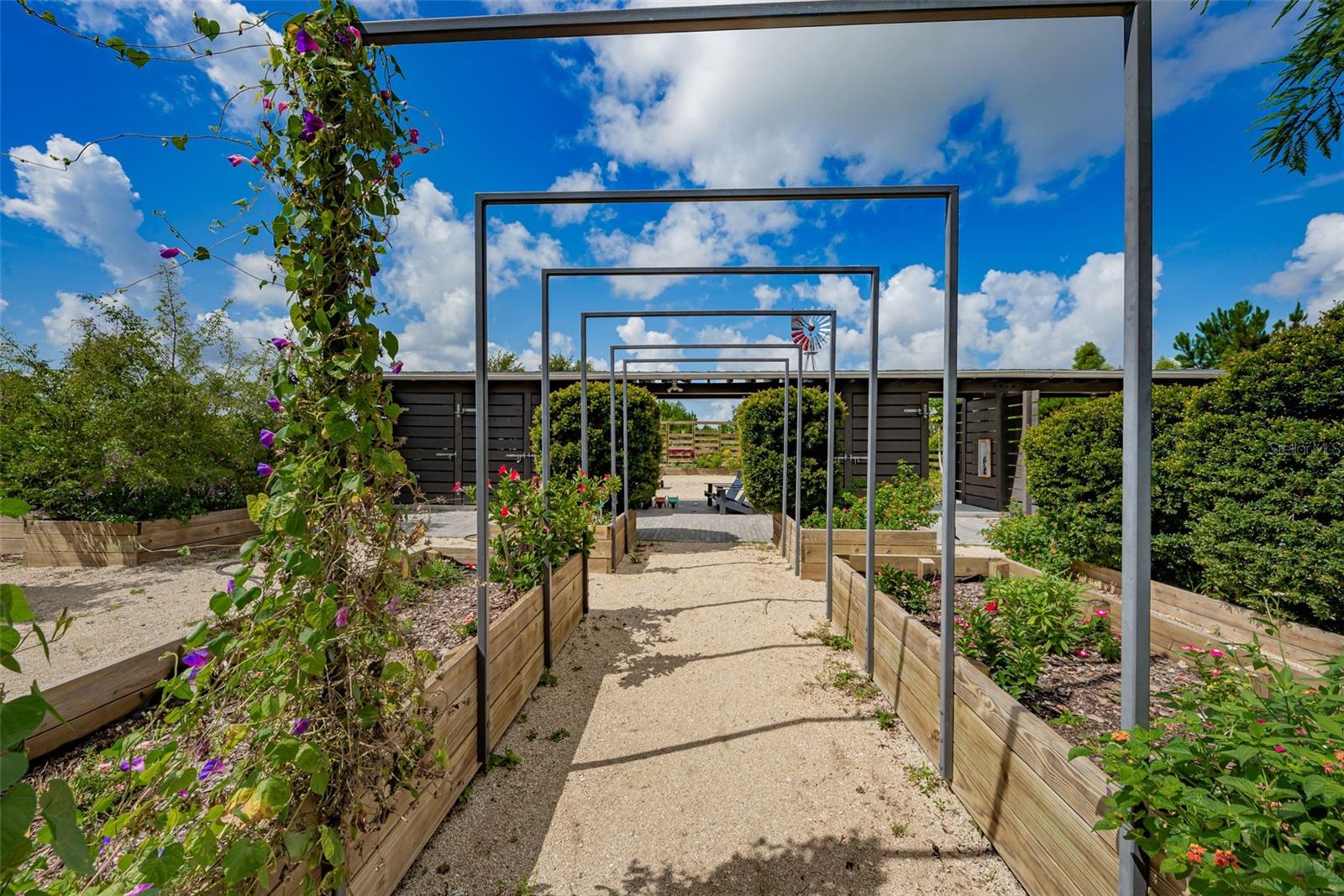 STARKEY RANCH - Residential