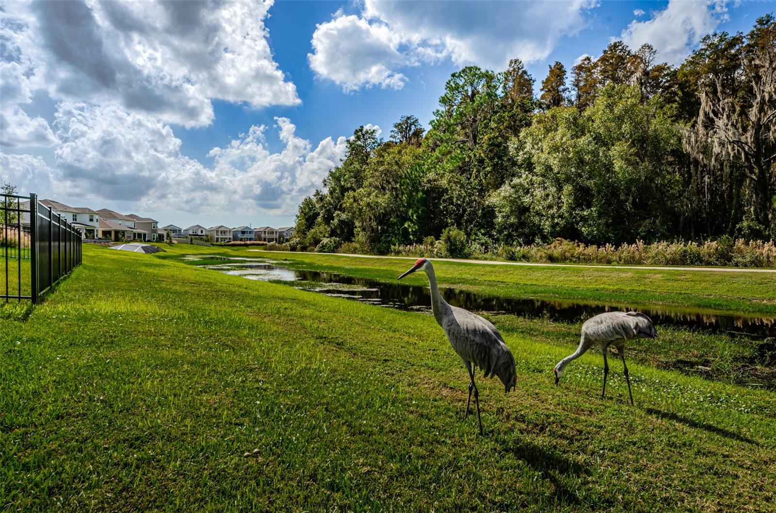 STARKEY RANCH - Residential