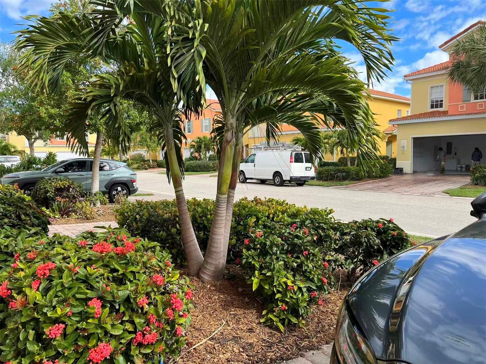 16217 VIA SOLERA CIRCLE 101