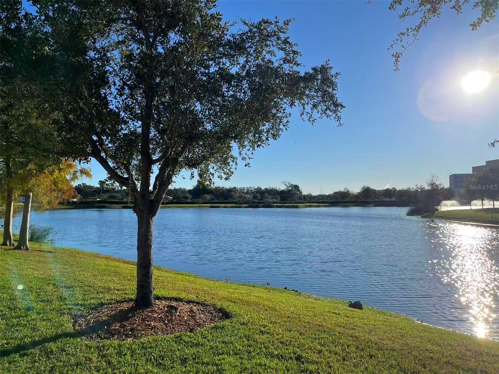 SAIL HARBOUR/HEALTHPARK - Residential