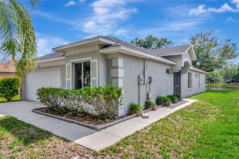 Photo of 18140 Portside Street, Tampa, FL 33647 (MLS # TB8505502)