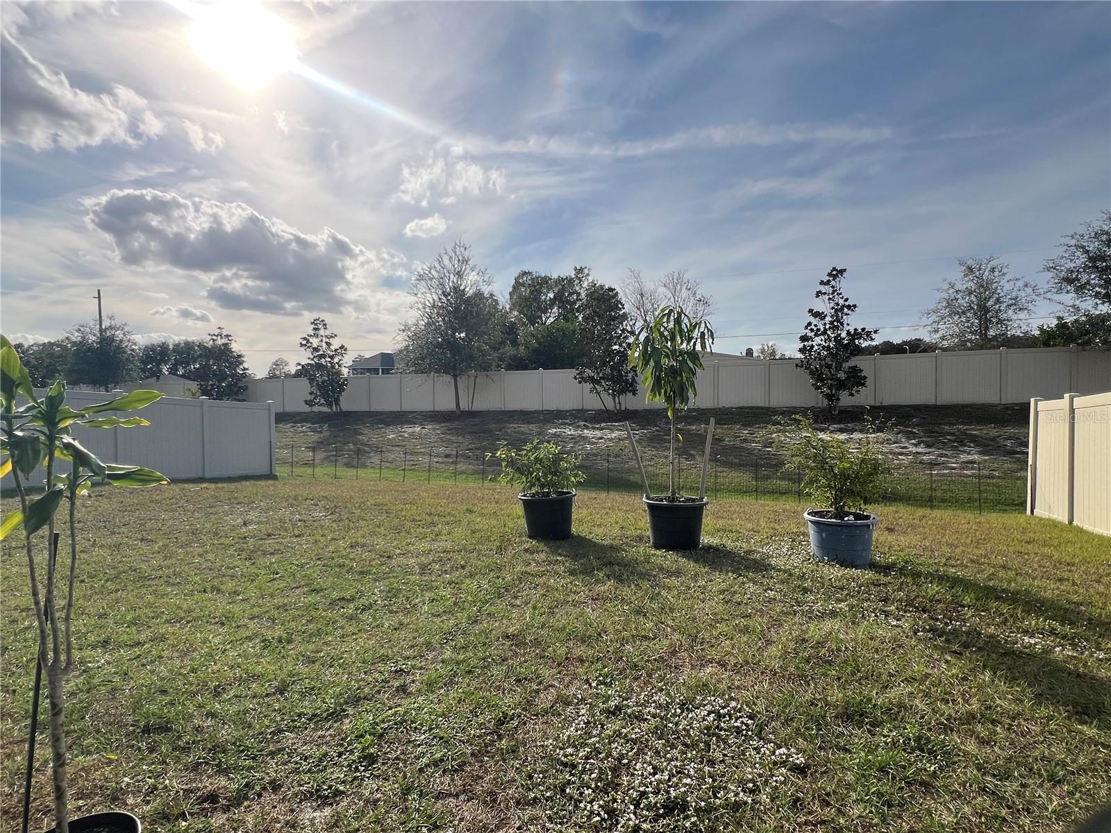 THOMPSON GROVE - Residential