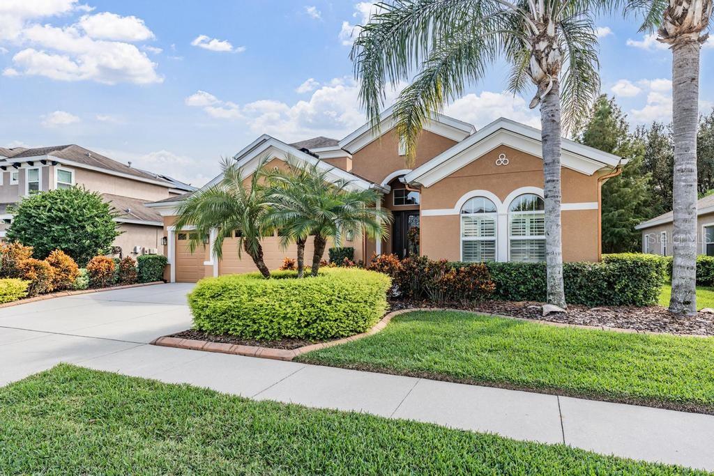 LAKESHORE RANCH PH 2 & 3 - Residential