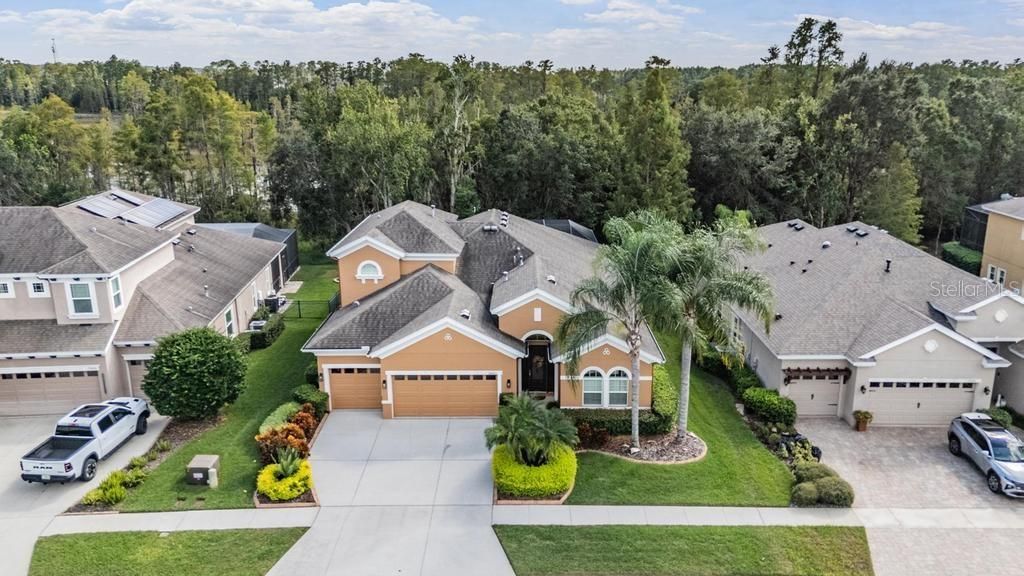 Photo of 19402 Autumn Chase Court, Land O Lakes, FL 34638 (MLS # TB8439736)