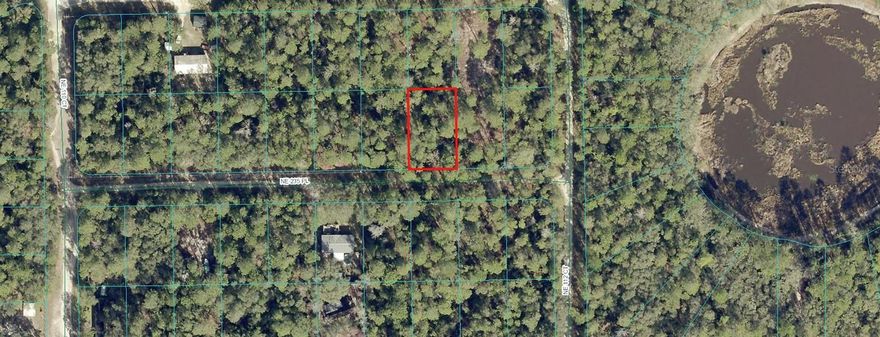 NOW IS THE TIME TO BUY INVESTMENT LAND IN LAKE VIEW MANOR.  MOST AFFORDABLE LOTS IN AREA.  LOTS ARE NESTLED IN THE OCALA NATIONAL FOREST.  LOTS OF LAKES AND WILDLIFE.  LOT COULD HAVE MOBILES OR SITE BUILT HOMES.  THIS IS FOR (1 LOT) LOT 13 ONLY, BUT LOT 8 IS AVAILABLE NOW.  MAP REFLECTS BOTH LOTS.