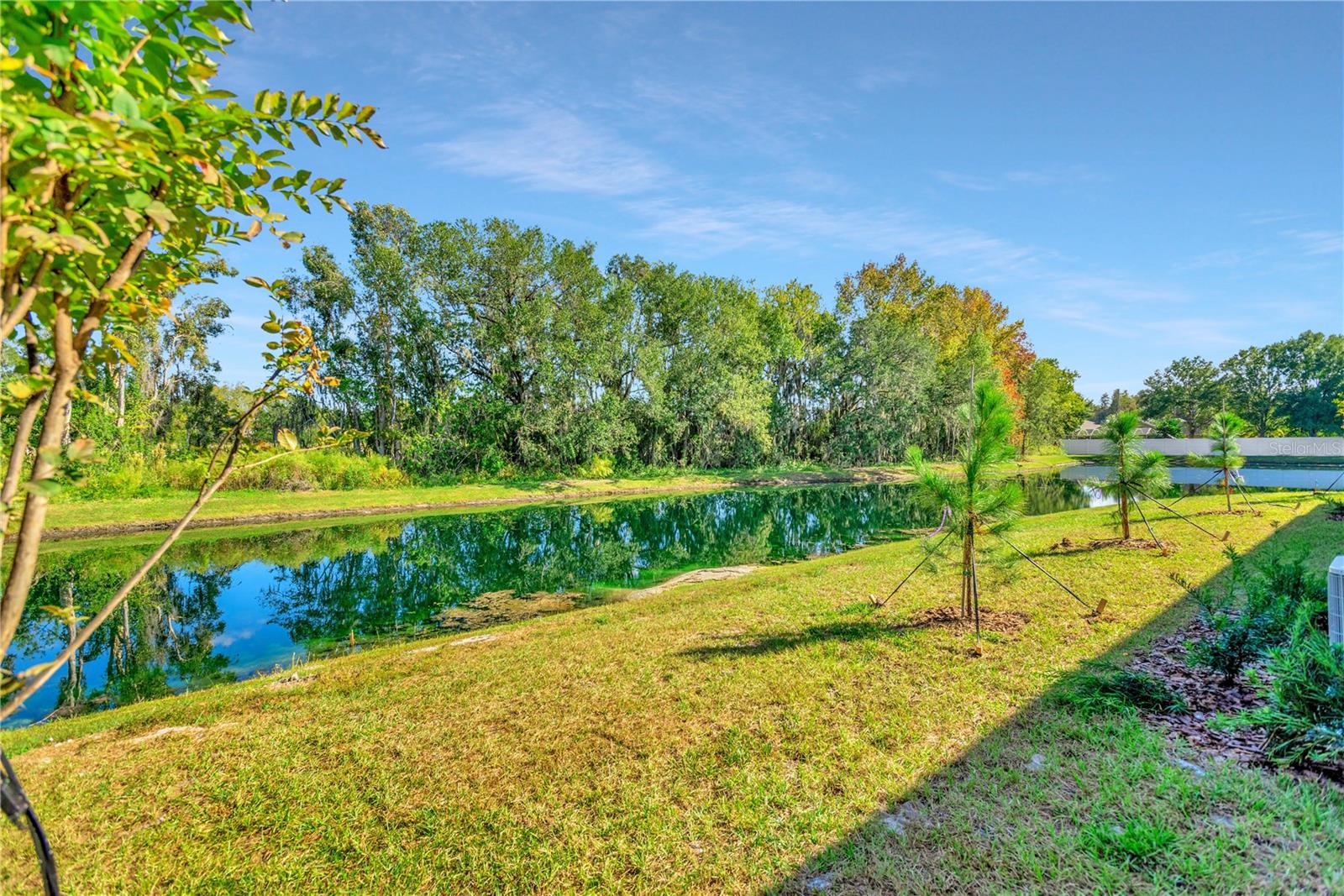 LITTLE LAKE THOMAS - Residential Lease