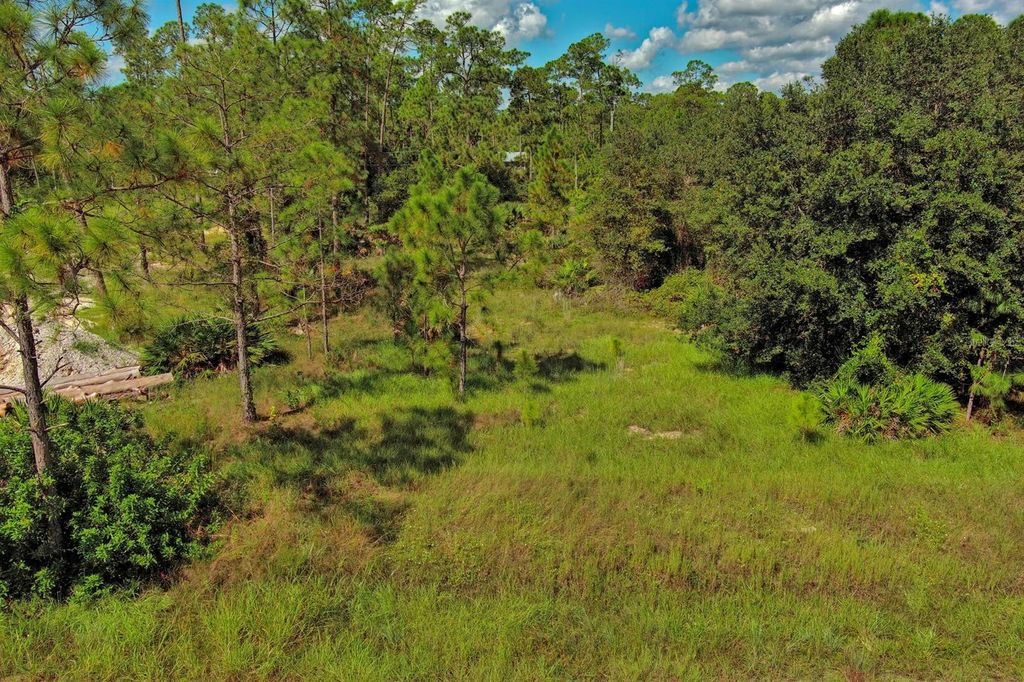 Photo of 1219 Washington Avenue, Lehigh Acres, FL 33972 (MLS # O6344850)