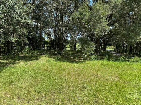 Tiny photo for 7350 SE 181st Court, Morriston, FL 32668 (MLS # OM733277)