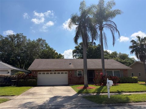 999 GILLESPIE DRIVE PALM HARBOR FL 34684