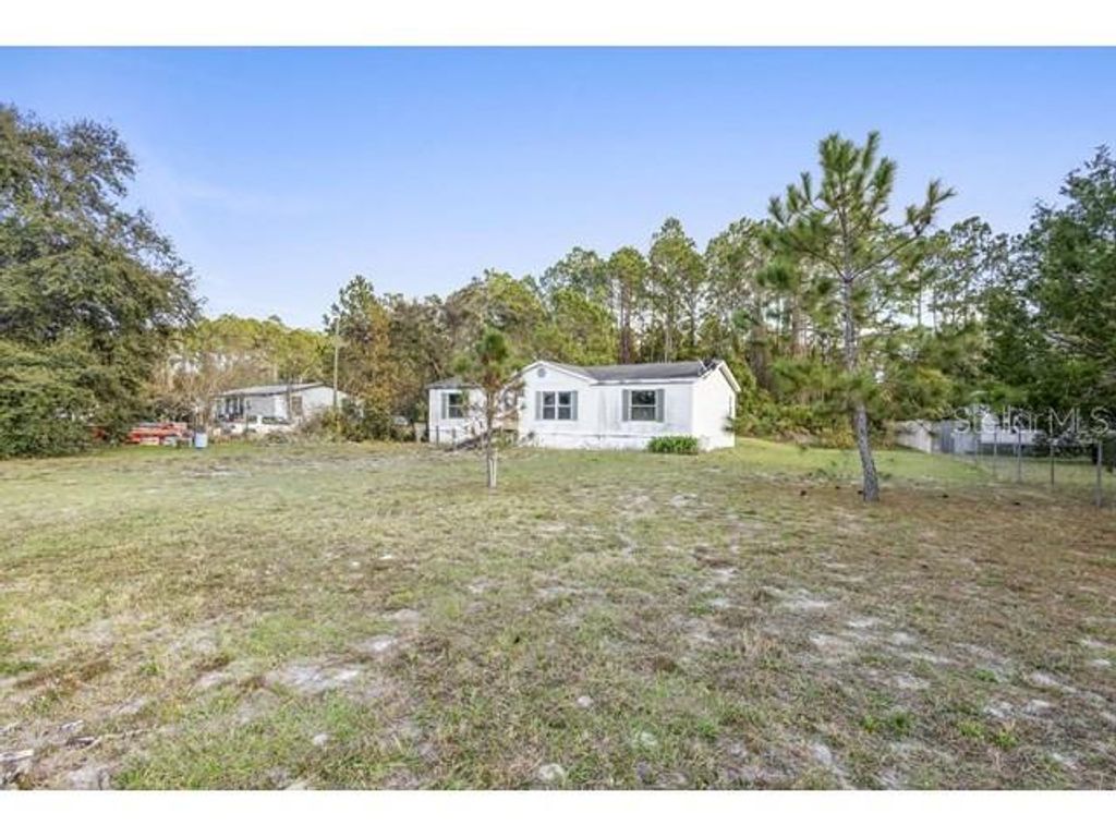 Photo of 28636 Hibiscus Avenue, Paisley, FL 32767 (MLS # V4946425)