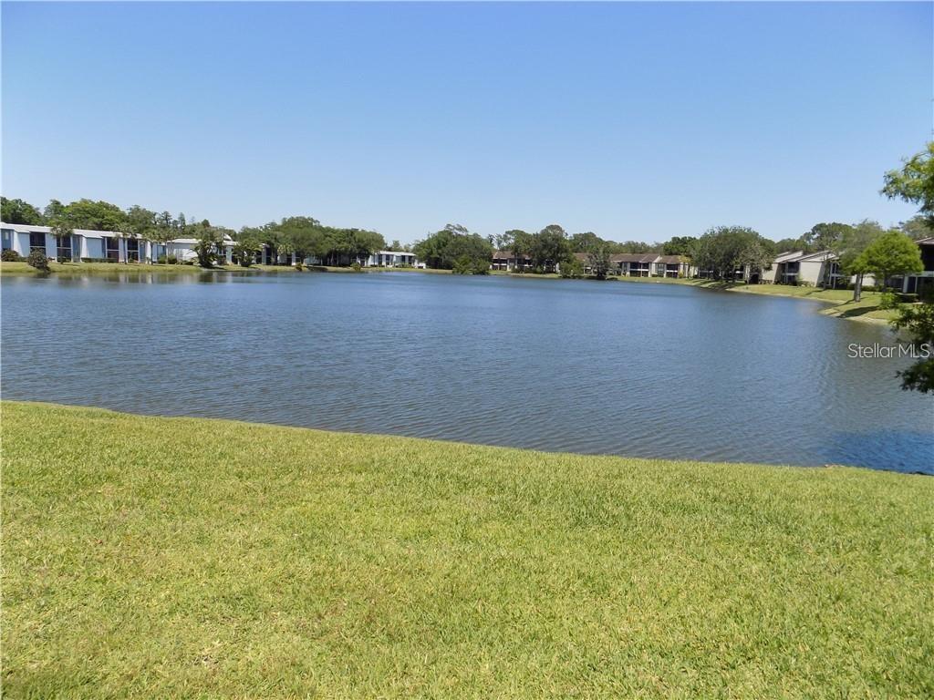 EAST LAKE WOODLANDS WOODLAKE RUN - Residential