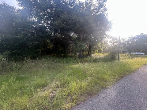 Tiny photo for 0000 Guava Terrace #4, Ocklawaha, FL 32179 (MLS # R4912050)
