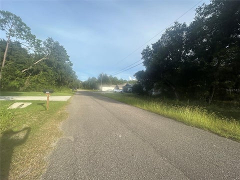 Tiny photo for 0000 Guava Terrace #4, Ocklawaha, FL 32179 (MLS # R4912050)