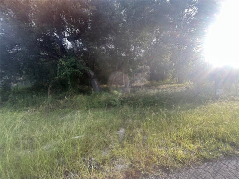 Tiny photo for 0000 Guava Terrace #4, Ocklawaha, FL 32179 (MLS # R4912050)