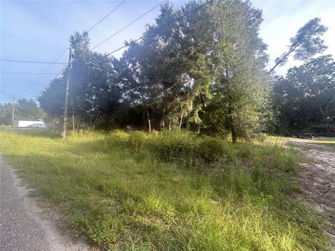 Tiny photo for 0000 Guava Terrace #4, Ocklawaha, FL 32179 (MLS # R4912050)