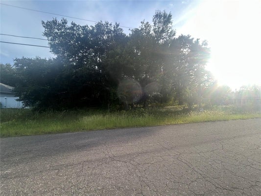 0000 GUAVA TERRACE # 4, OCKLAWAHA, FL 32179 - Image e8ecca0bed98e592b1cdcfc7f7423dd3/4009444880